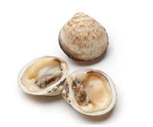 Amandes De Mer ou Praire (100g)